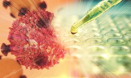Im Labor: abgebildeter Virus und eine Zellplatte