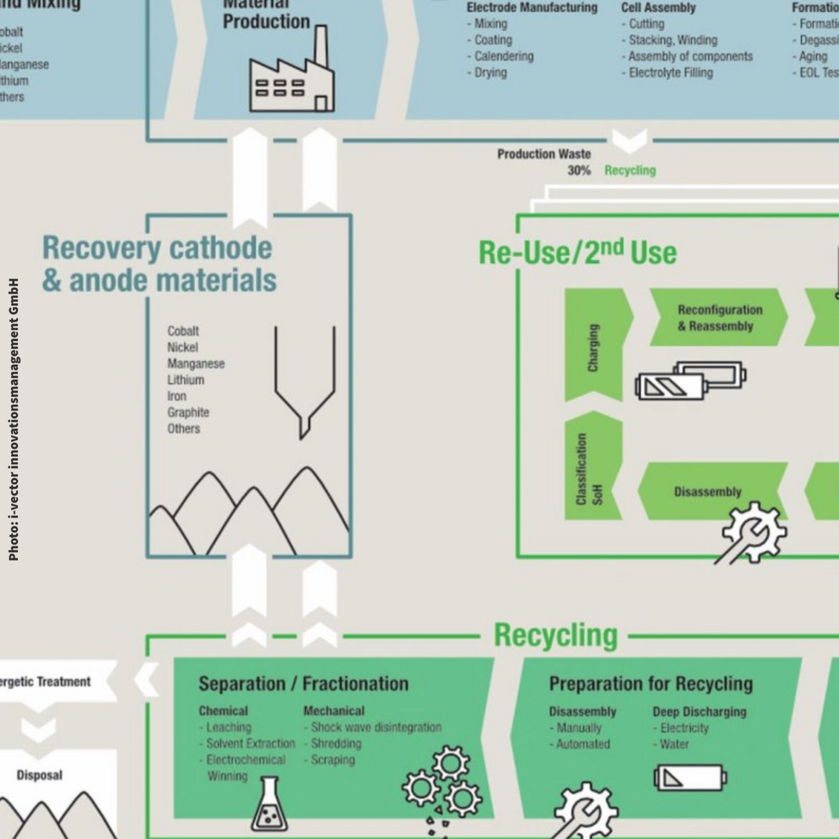 Infografik zur Batteriekompetenzstudie der WFBB