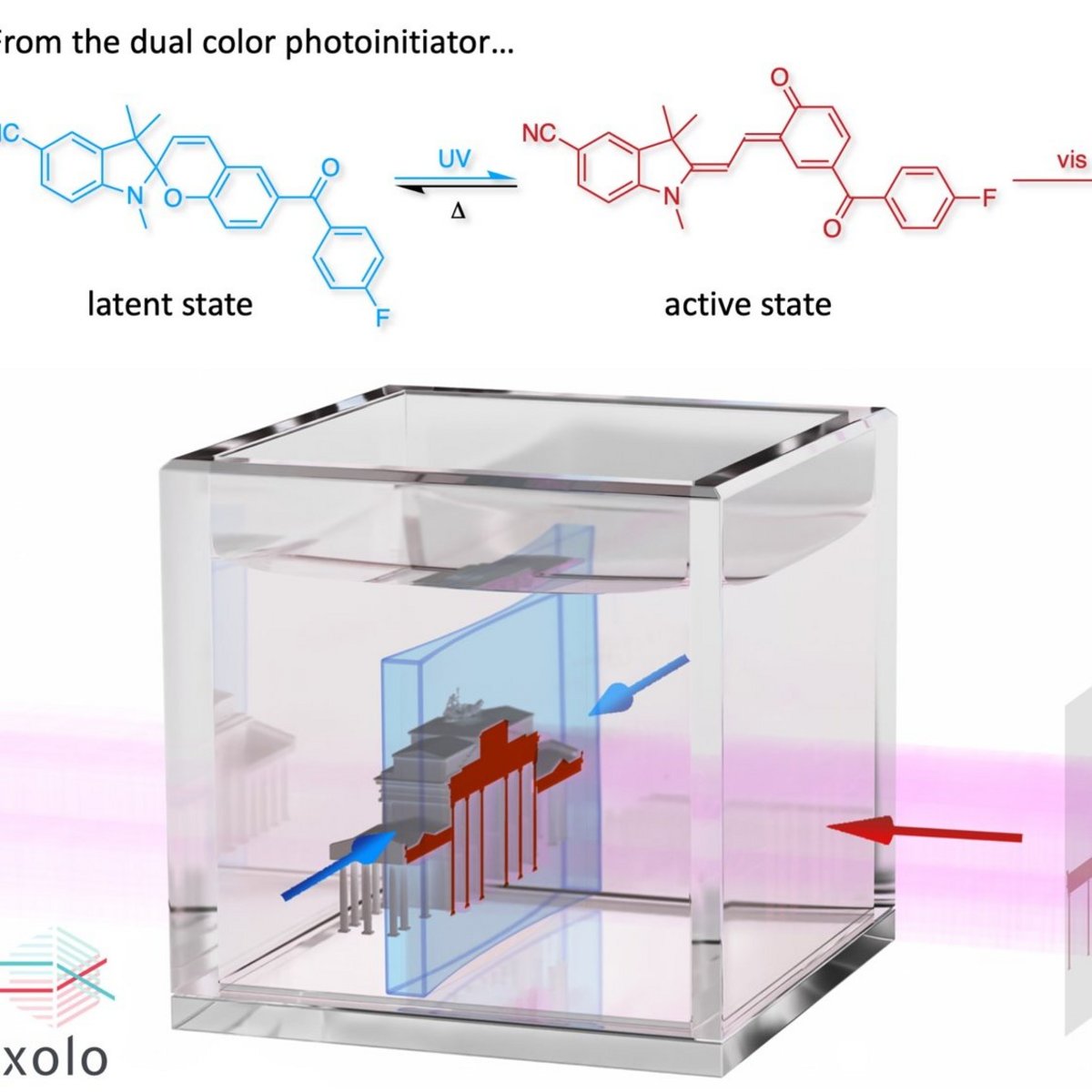 Abbildung erklärt den Prozess der Xolographie