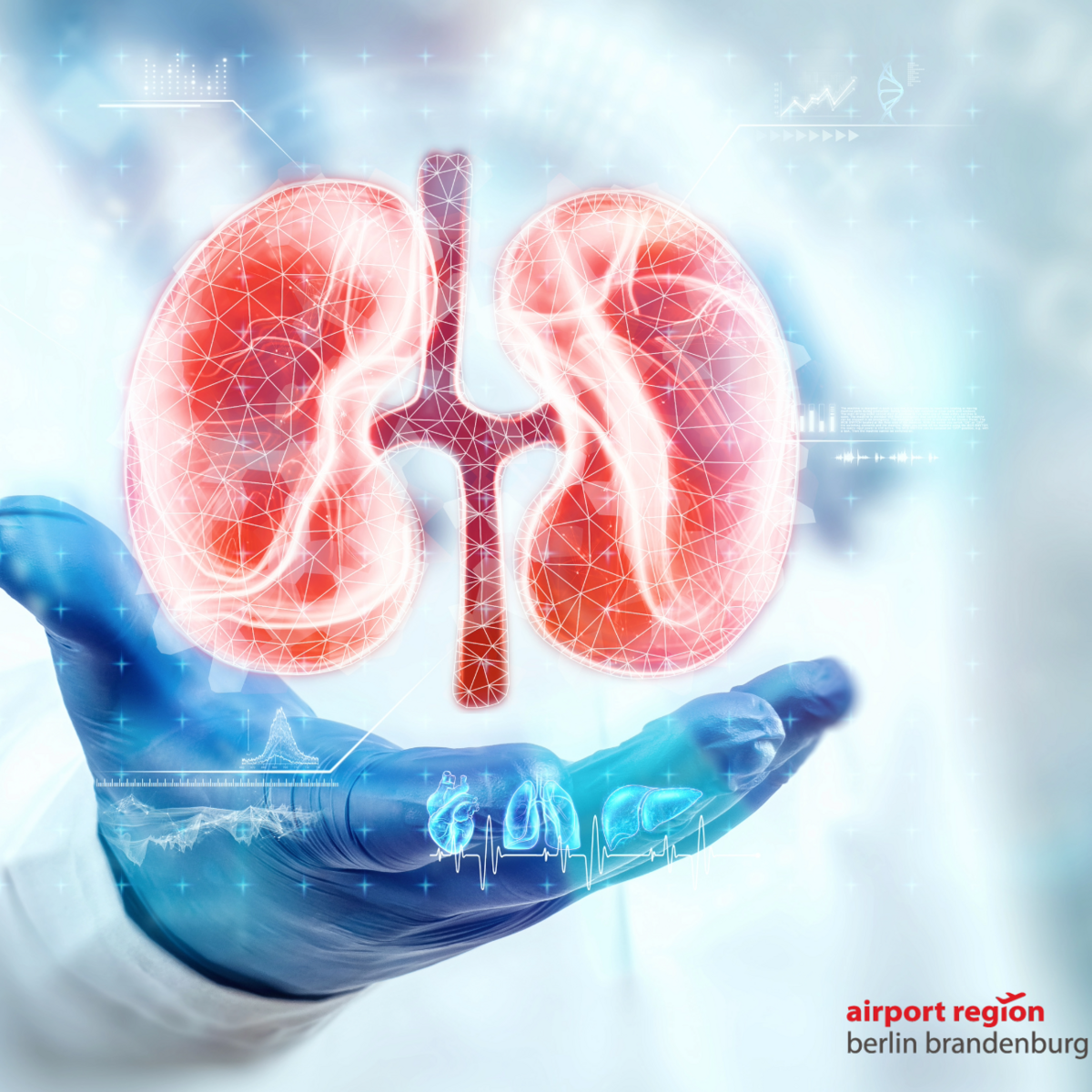 Bild, welches eine Hand in medizinischen Handschuhen zeigt. Eine menschliche Silhouette ist verschwommen im Hintergrund erkennbar. Darüber schwebt quasi die Animation einer menschlichen Niere. Sehr fein drum herum erscheinen Daten und Diagramme, die sinnbildlich Aussagen zu dieser Niere treffen