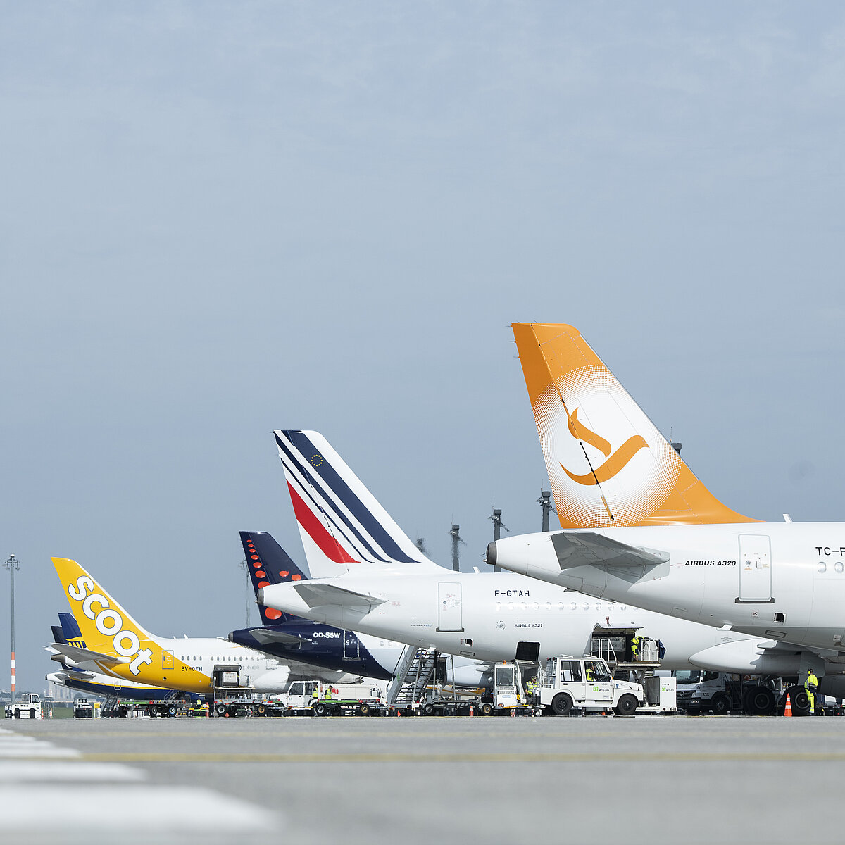 Verschiedene Airlines auf dem Vorfeld des Flughafens BER