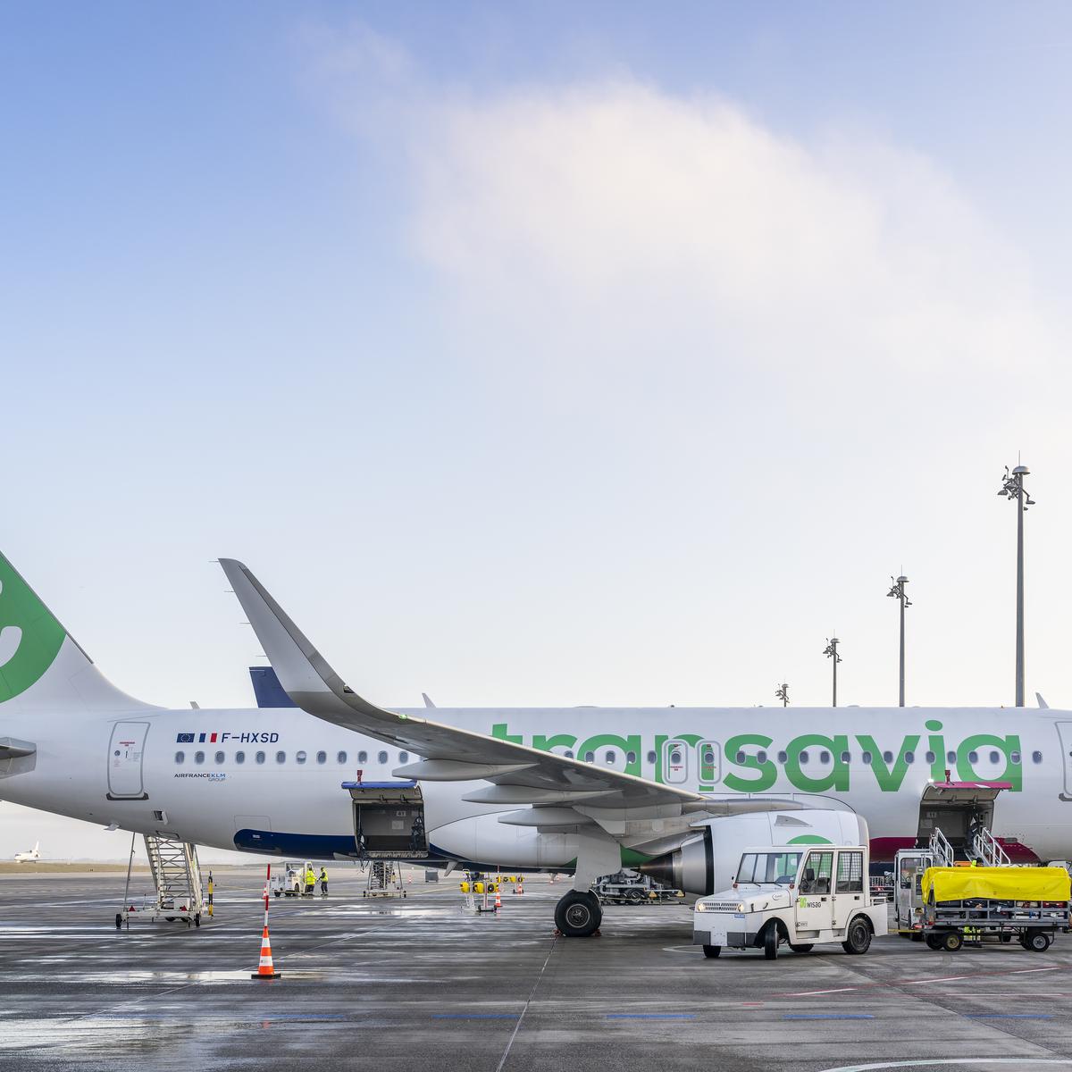 Transavia Maschine auf dem Vorfeld am Airport Berlin Brandenburg