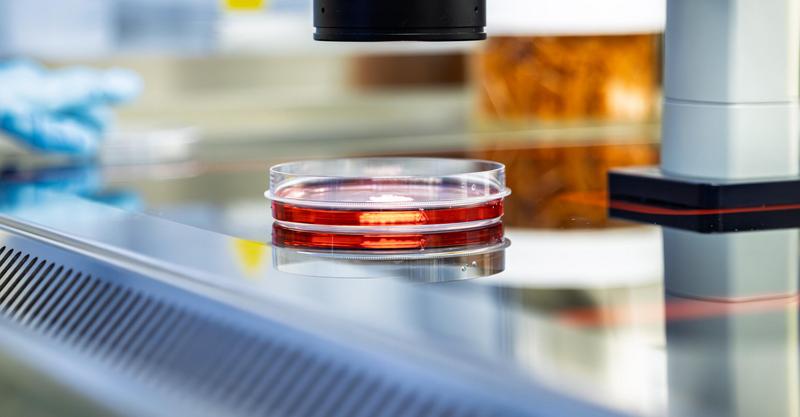 Promobild für die Nachricht: Am Max Delbrück Center entsteht das „Center for AI–Accelerated Molecular Innovations in Medicine“ - Gefäße mit Flüssigkeiten